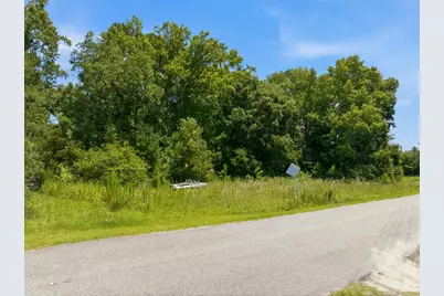 Tbd Highway 66, Conway, SC 29526 - Photo 20