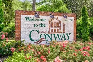 121 Emily Springs Dr, Conway, SC 29527 - Photo 30