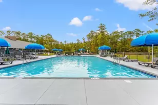 168 Low Country Loop, Murrells Inlet, SC 29576 - Photo 38