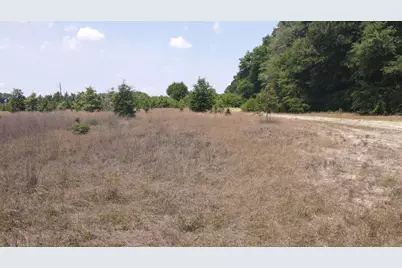 25.10 Acres - Society Hill Rd, Darlington, SC 29532 - Photo 14