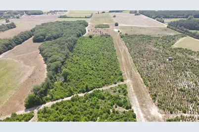 25.10 Acres - Society Hill Rd, Darlington, SC 29532 - Photo 6