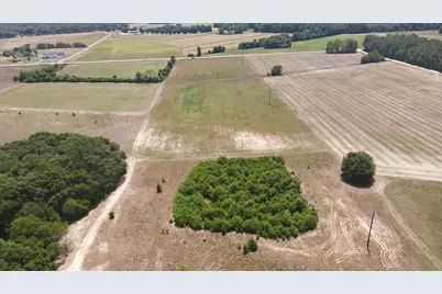 25.10 Acres - Society Hill Rd, Darlington, SC 29532 - Photo 10