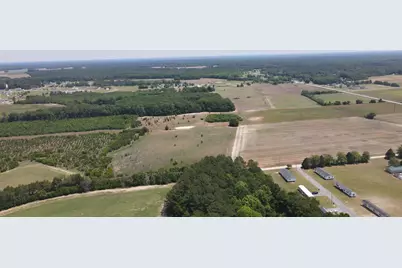 25.10 Acres - Society Hill Rd, Darlington, SC 29532 - Photo 8
