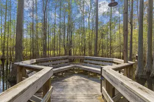 2031 Comradery Wy, Murrells Inlet, SC 29576 - Photo 74
