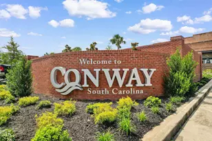 1102 Black Lk Wy, Conway, SC 29526 - Photo 46