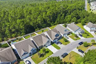 3664 White Wing Cir, Myrtle Beach, SC 29579 - Photo 38