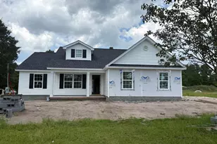 1002 Hwy 45, Loris, SC 29569 - Photo 2