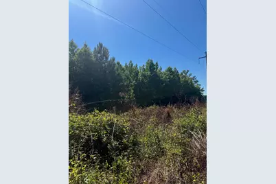 Tbd Derrick Ct., Marion, SC 29571 - Photo 6