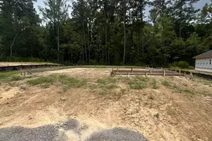 400 Whitetail Way, Tabor City, NC 28463 - Photo 2