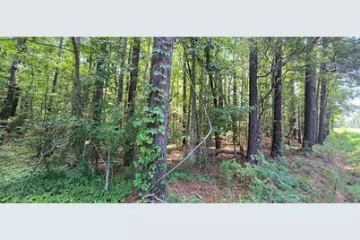 Tbd4 Highway 111, Little River, SC 29566 - Photo 4