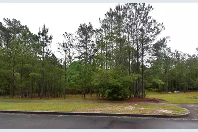 121 Pineberry Dr., Georgetown, SC 29440 - Photo 1