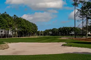 5407 Pheasant Dr, North Myrtle Beach, SC 29582 - Photo 64