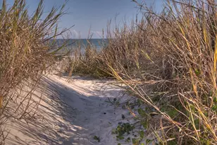 5407 Pheasant Dr, North Myrtle Beach, SC 29582 - Photo 74