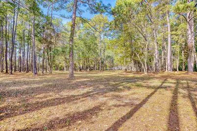 4250 Lilac Rd., Myrtle Beach, SC 29588 - Photo 30