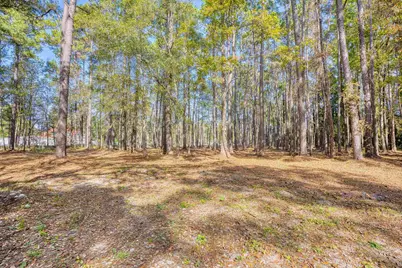 4250 Lilac Rd., Myrtle Beach, SC 29588 - Photo 22