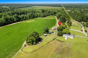 7049 Firehouse Rd, Conway, SC 29527 - Photo 56