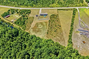 10072 Hardwick Rd, Nichols, SC 29581 - Photo 4