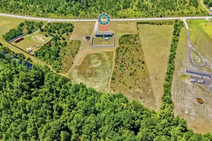10072 Hardwick Rd, Nichols, SC 29581 - Photo 2