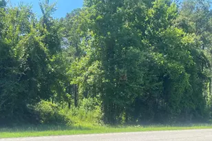 4177 Hwy 38, Blenheim, SC 29516 - Photo 22