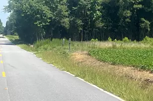 4177 Hwy 38, Blenheim, SC 29516 - Photo 16