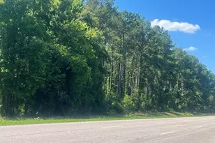 4177 Hwy 38, Blenheim, SC 29516 - Photo 20