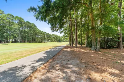 168 Mackinley Circle, Pawleys Island, SC 29585 - Photo 52
