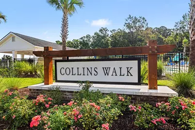 1119 Blueback Herring Way #n/a, Conway, SC 29526 - Photo 22