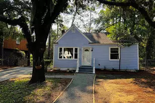 2407 S Island Rd, Georgetown, SC 29440 - Photo 1