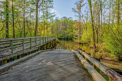 67 Rose Bud Ct., Murrells Inlet, SC 29576 - Photo 70
