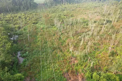17.74 Acres - S Deerfield Rd., Johnsonville, SC 29555 - Photo 8