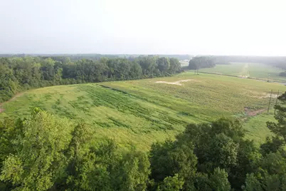17.74 Acres - S Deerfield Rd., Johnsonville, SC 29555 - Photo 10