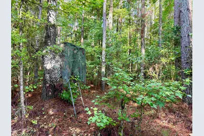 50.5 Acres Epps Rd., New Zion, SC 29111 - Photo 2