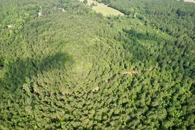 50.5 Acres Epps Rd., New Zion, SC 29111 - Photo 20