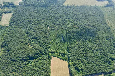 50.5 Acres Epps Rd., New Zion, SC 29111 - Photo 14