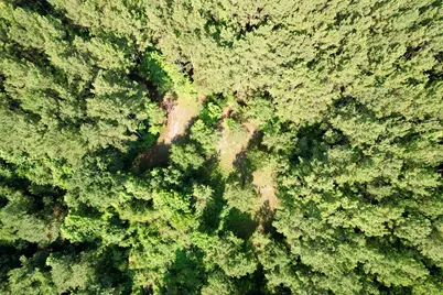 50.5 Acres Epps Rd., New Zion, SC 29111 - Photo 18