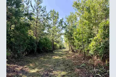 50.5 Acres Epps Rd., New Zion, SC 29111 - Photo 8
