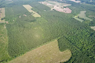 50.5 Acres Epps Rd., New Zion, SC 29111 - Photo 22