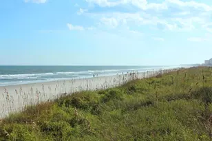 50 Billfish Ct, Pawleys Island, SC 29585 - Photo 58