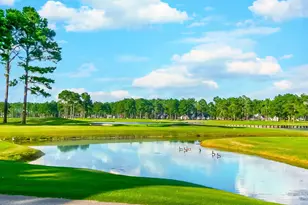 6010 Windsor Green Way, Myrtle Beach, SC 29579 - Photo 2