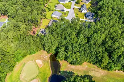 200 Joanna Gillard Ln., Georgetown, SC 29440 - Photo 10
