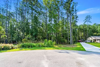 200 Joanna Gillard Ln., Georgetown, SC 29440 - Photo 28