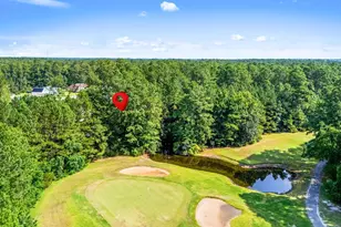 200 Joanna Gillard Ln, Georgetown, SC 29440 - Photo 10