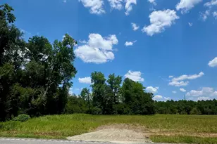 10056 W Hwy 19, Loris, SC 29569 - Photo 2