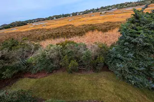 10 Sea Oats Cir, Pawleys Island, SC 29585 - Photo 56