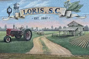 3860 Richardson St, Loris, SC 29569 - Photo 44