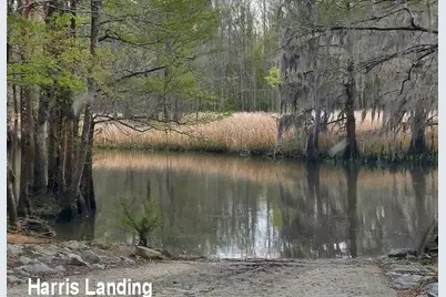 659 Harris Landing Rd., Georgetown, SC 29440 - Photo 38