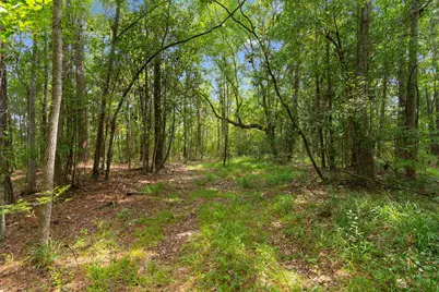 6518 N Fraser St., Georgetown, SC 29440 - Photo 4