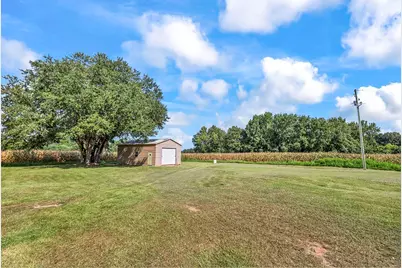 3568 Alcolu St., Alcolu, SC 29001 - Photo 4