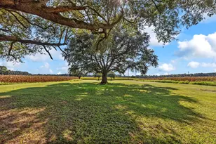 3568 Alcolu St, Alcolu, SC 29001 - Photo 12
