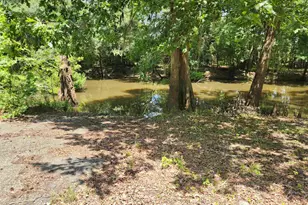 380 Bauer Trail, Hemingway, SC 29554 - Photo 12